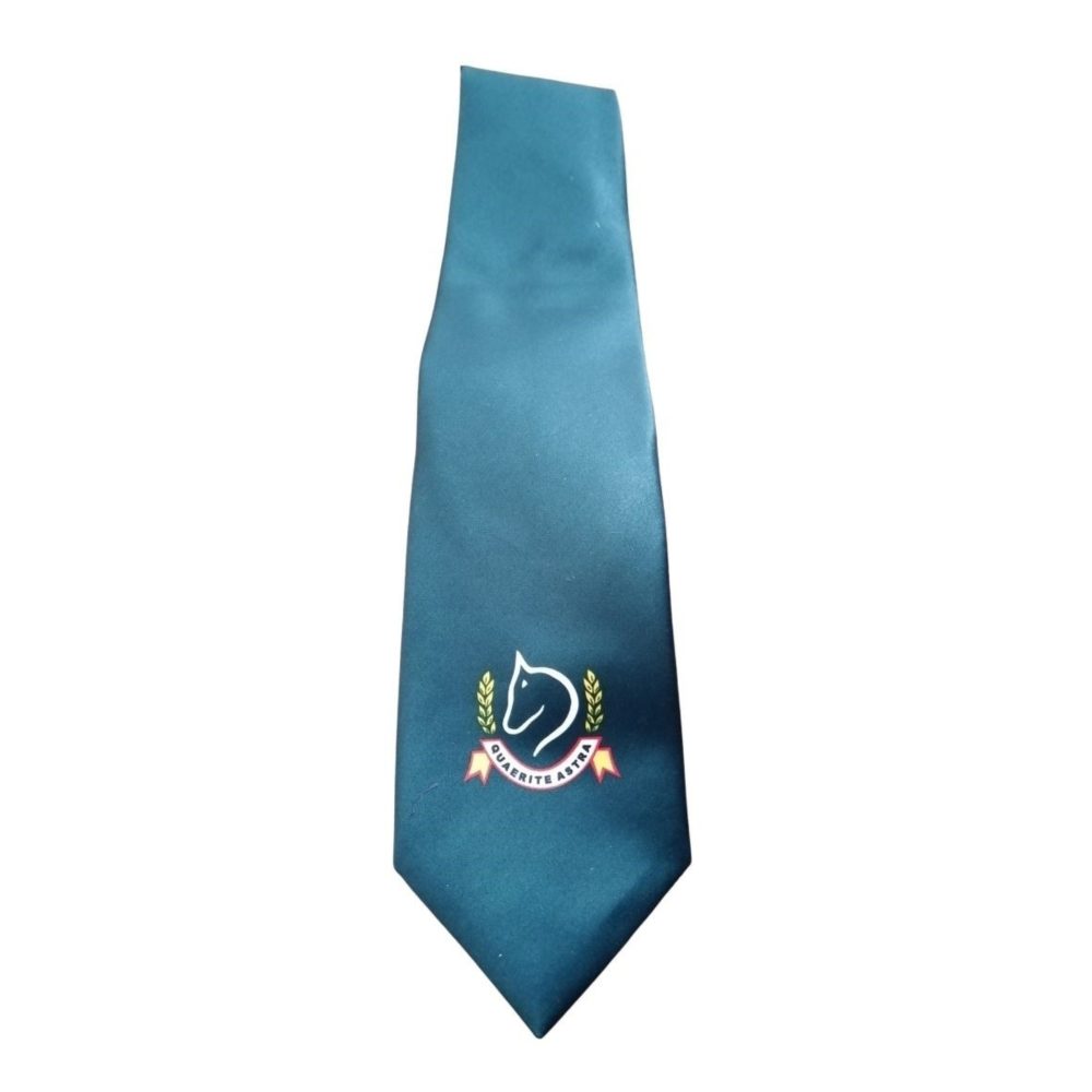 Tie - Teal